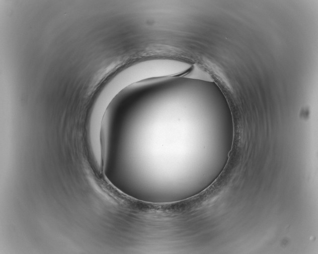 X0000093140538200710241344