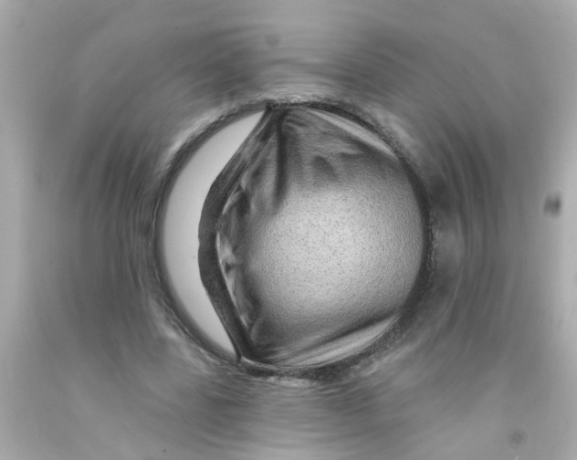 X0000093140539200710241344