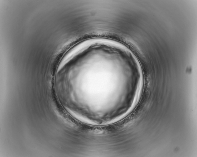 X0000093140542200710241344