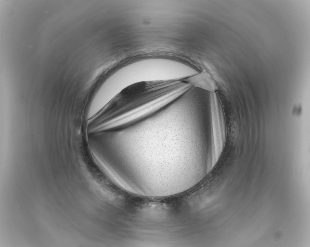 X0000093140543200710241344