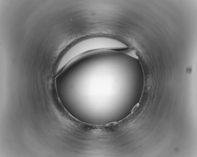 X0000093140544200710241344