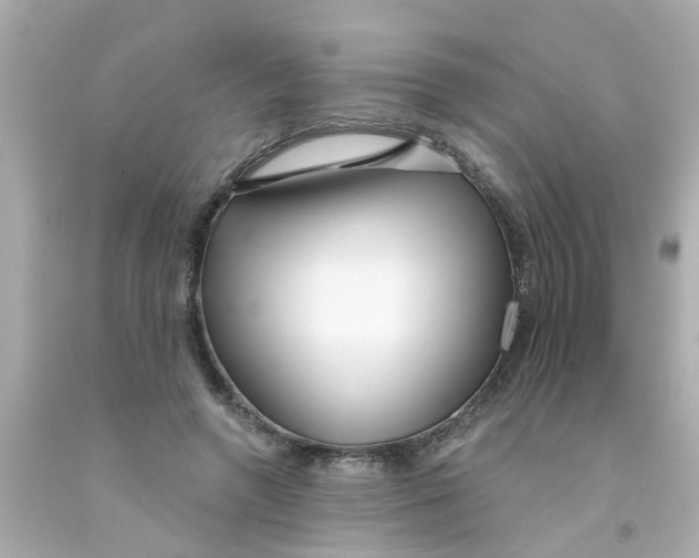 X0000093140546200710241344