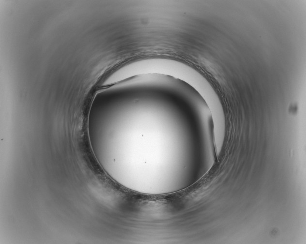 X0000093140548200710241344