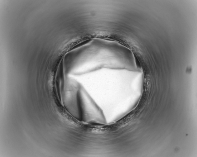 X0000093140550200710241344