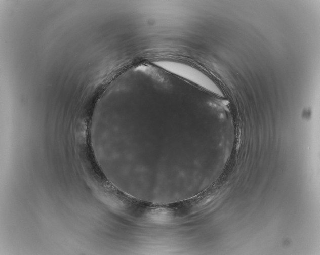 X0000093140551200710241344