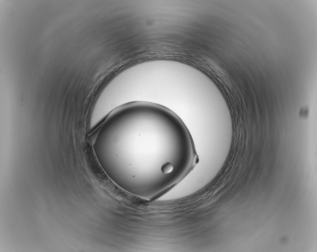 X0000093140552200710241344