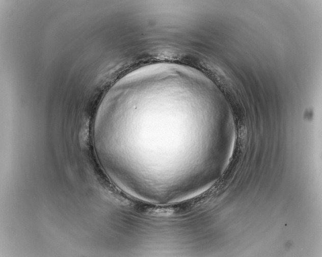 X0000093140554200710241344