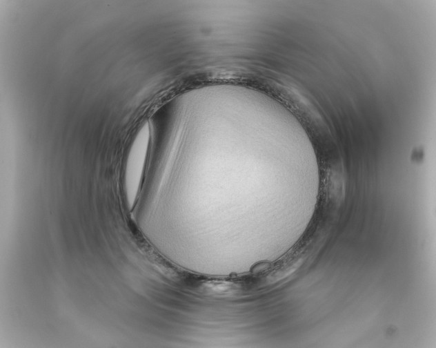 X0000093140557200710241344