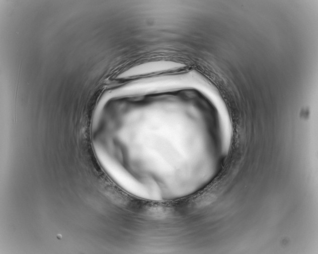 X0000093140561200710241344