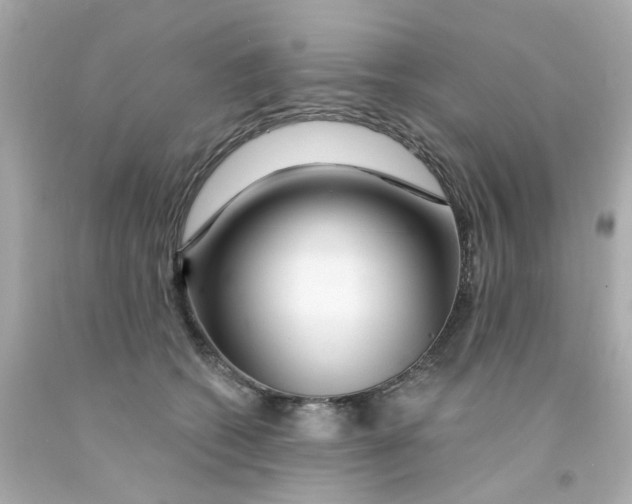 X0000093140562200710241344