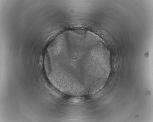 X0000093140563200710241344