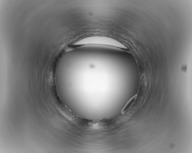 X0000093140564200710241344