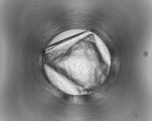 X0000093140565200710241345