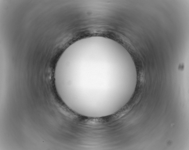 X0000093140567200710241345