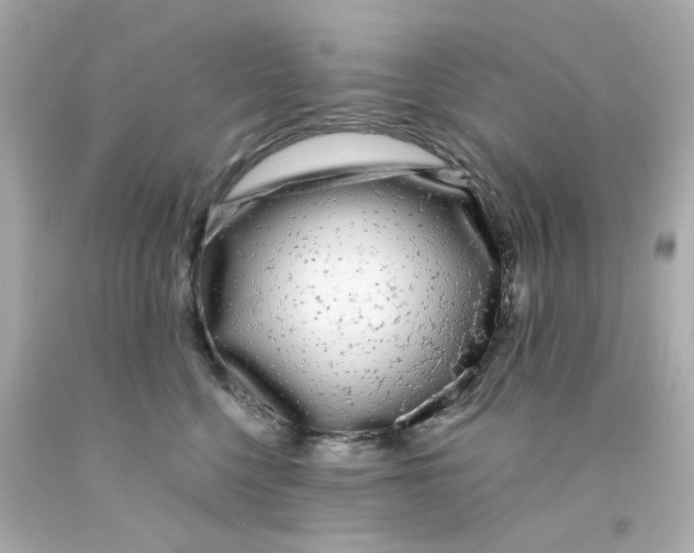 X0000093140568200710241345