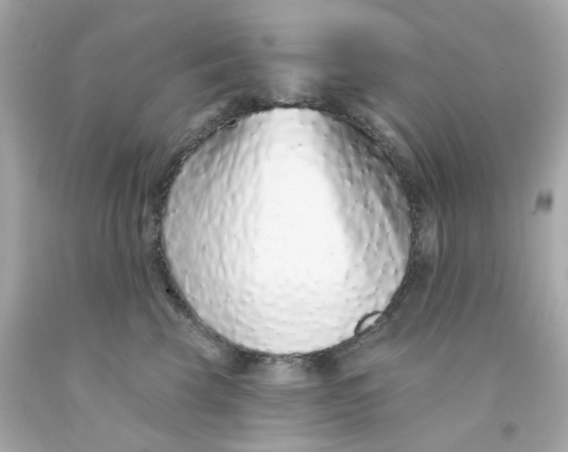 X0000093140569200710241345