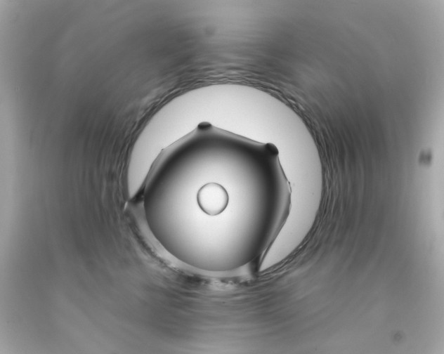 X0000093140570200710241345