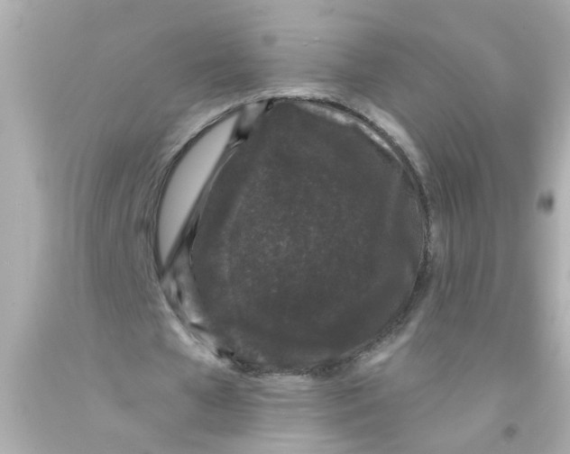 X0000093140577200710241344