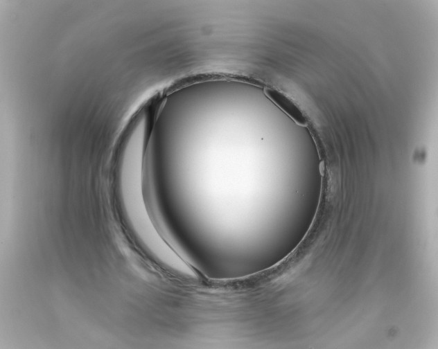 X0000093140580200710241344