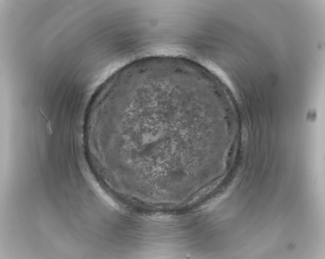 X0000093140581200710241344