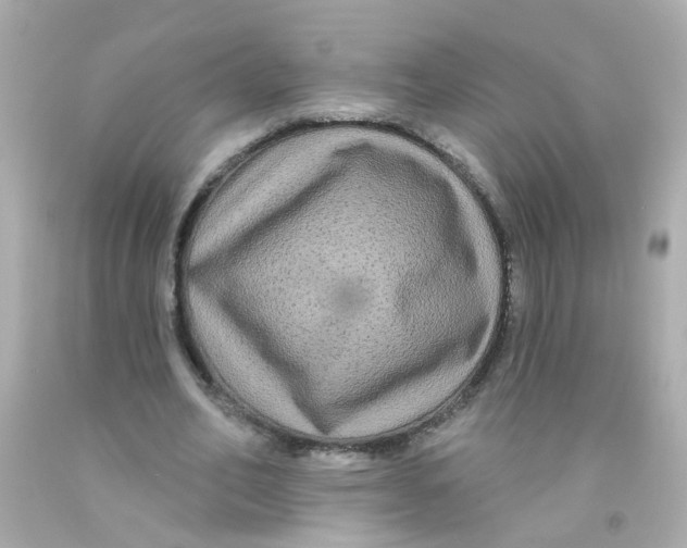 X0000093140582200710241344