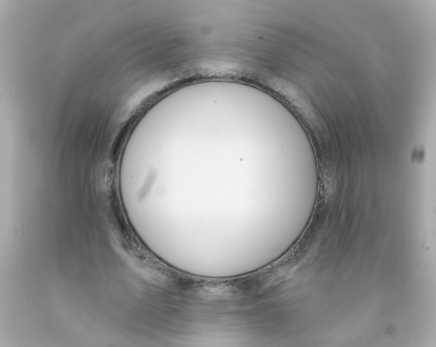 X0000093140583200710241344