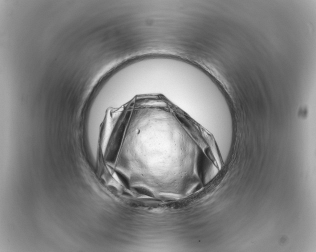 X0000093140584200710241344