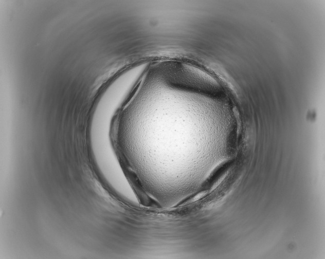 X0000093140585200710241344