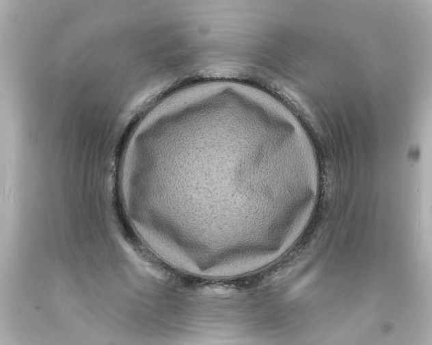 X0000093140586200710241344