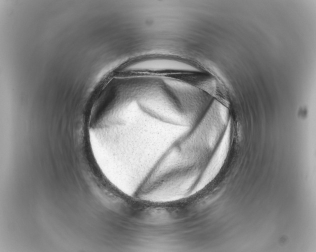 X0000093140588200710241344