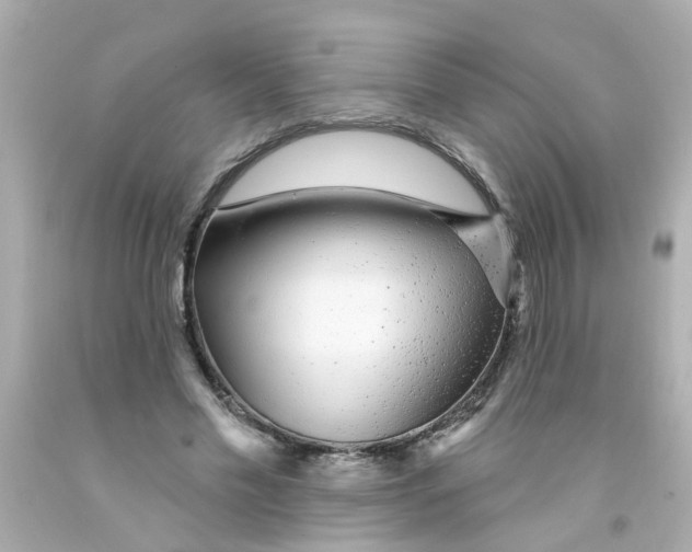 X0000093140589200710241344