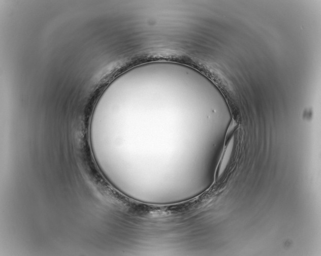 X0000093140591200710241344