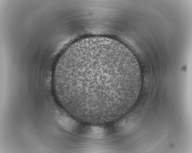 X0000093140592200710241344