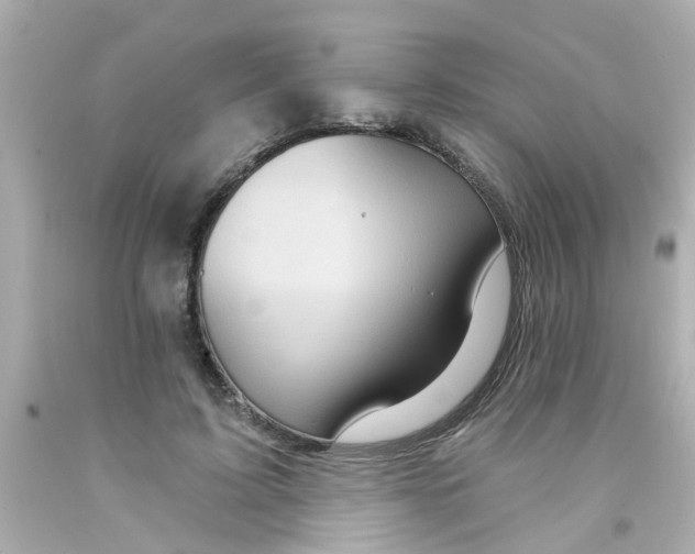 X0000093140595200710241344