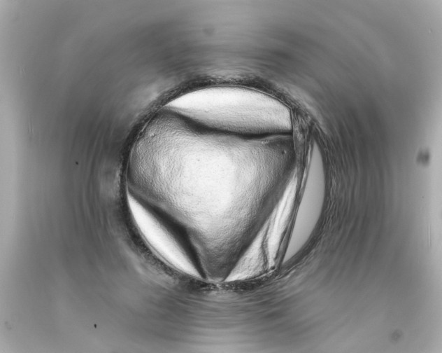 X0000093140596200710241344