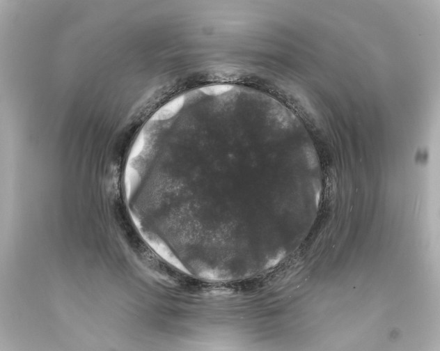 X0000093140598200710241344