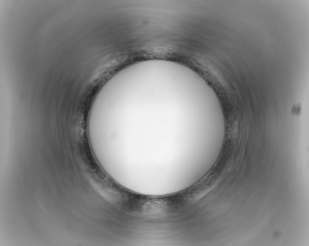 X0000093140599200710241344