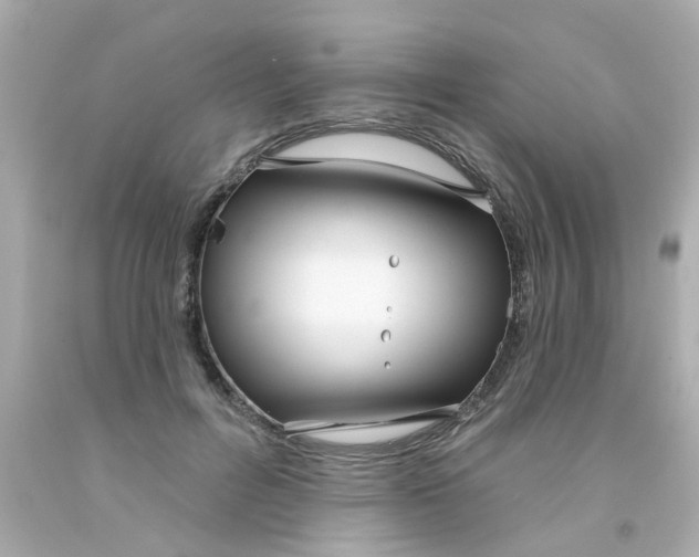 X0000093140600200710241344