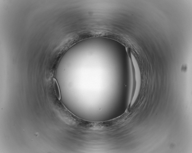 X0000093140601200710241344