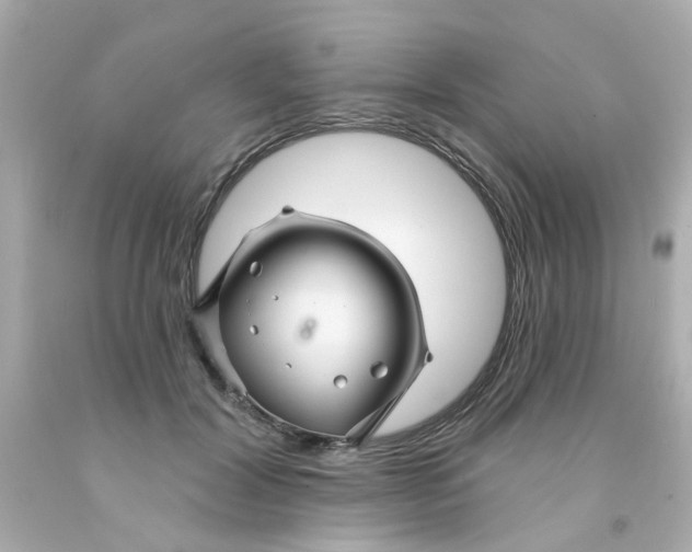 X0000093140604200710241344