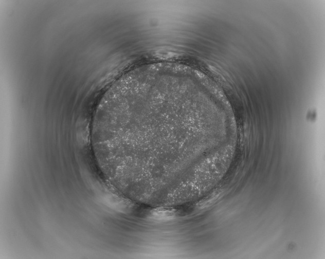 X0000093140606200710241344