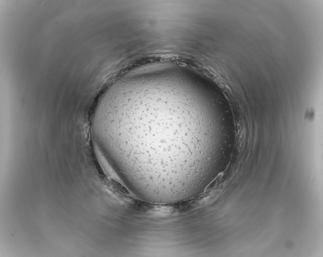 X0000093140609200710241344