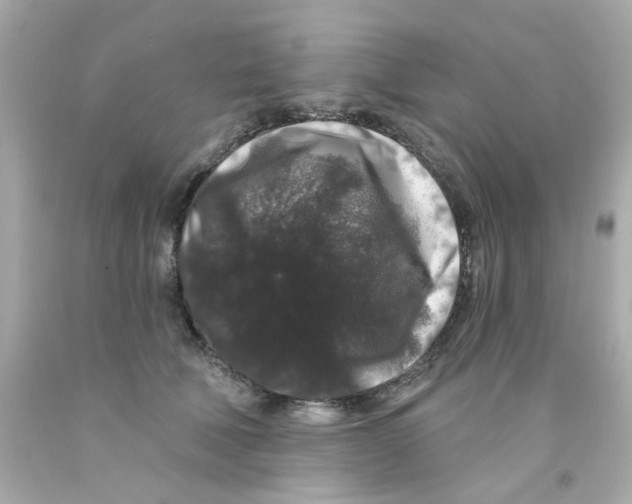 X0000093140610200710241344