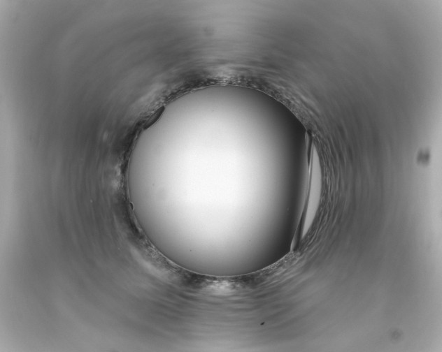 X0000093140611200710241344