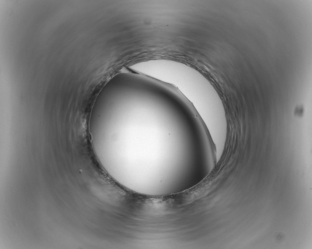 X0000093140613200710241344