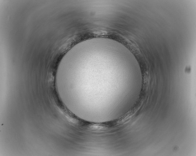 X0000093140614200710241344