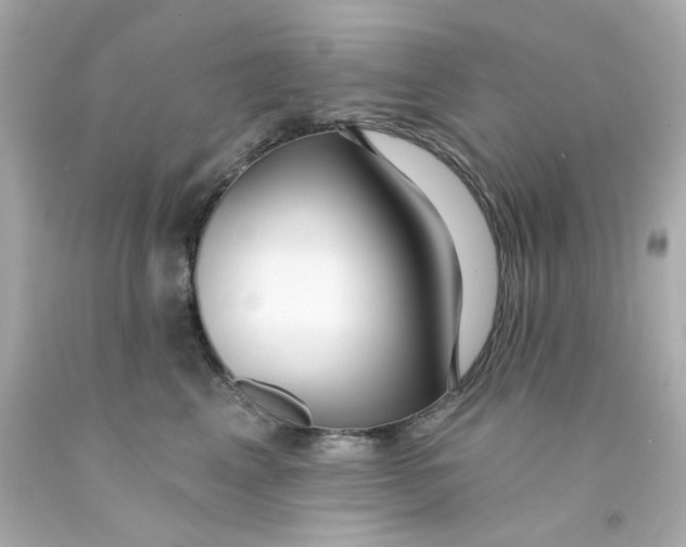 X0000093140617200710241344