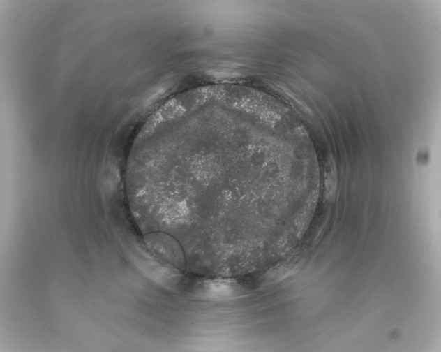 X0000093140618200710241344