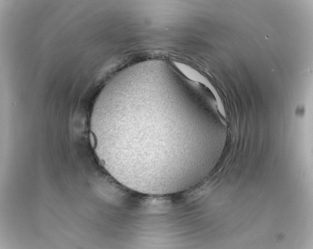 X0000093140619200710241344