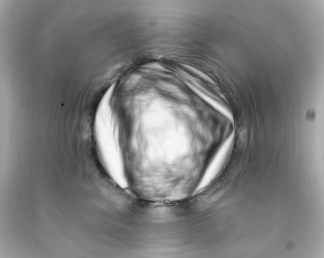 X0000093140620200710241344